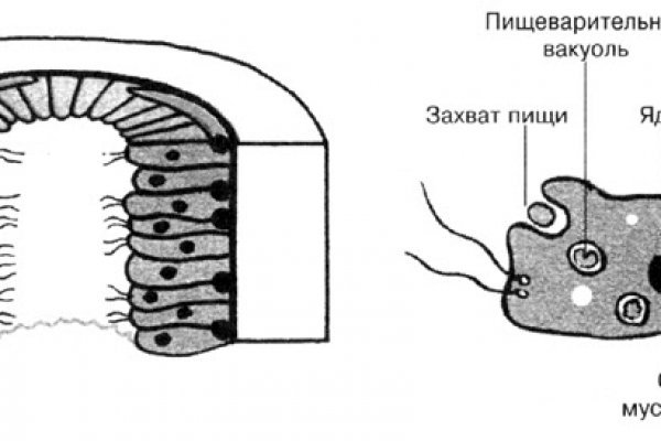 Пользователь не найден на кракене