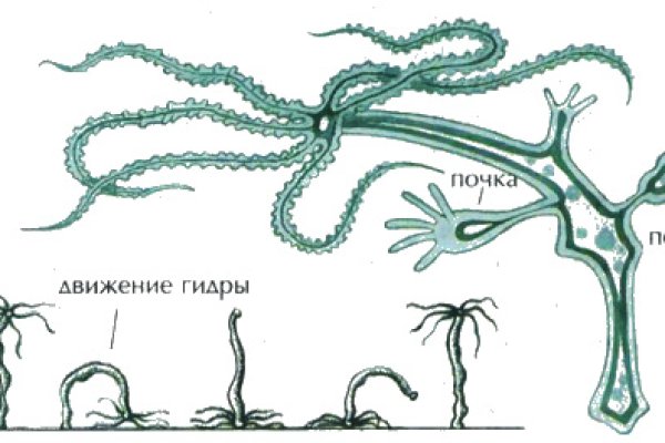 Проверенная ссылка кракен