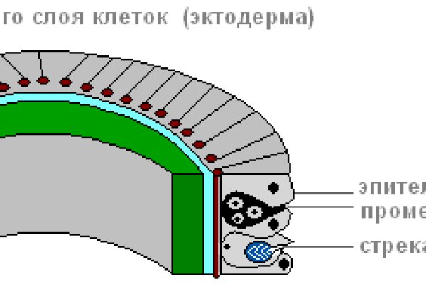 Актуальный сайт кракена